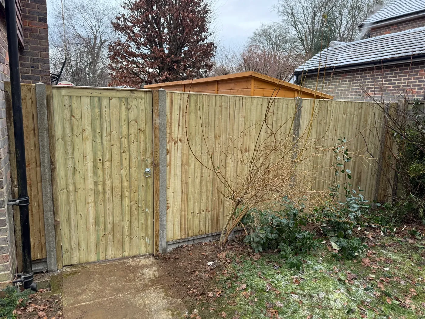Garden fence replacement in GU9 Farnham